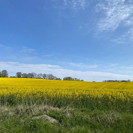 Prázdninový dům Premium Soess Diek In Gross Schwansee Kalkhorst