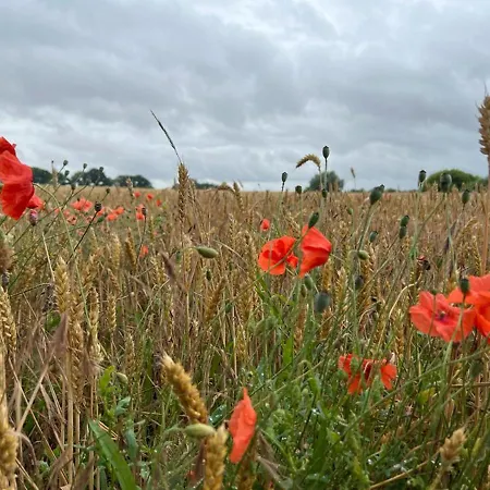 Premium Soess Diek In Gross Schwansee Prázdninový dům Kalkhorst
