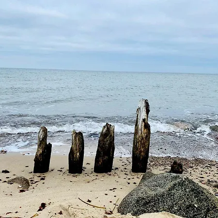 Premium Soess Diek In Gross Schwansee Ferienhaus